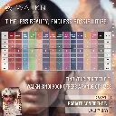 PT04.webp